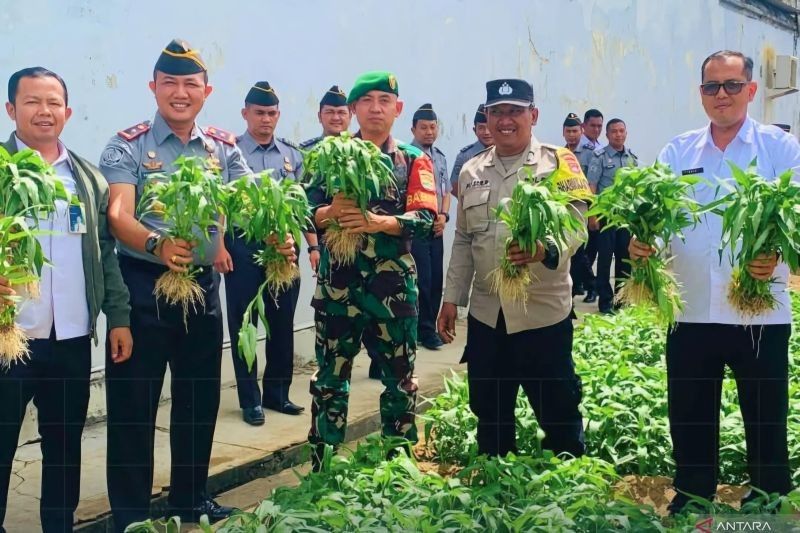 Rutan Tanjungpinang Panen 150 Kg Kangkung, Dukung Ketahanan Pangan Nasional