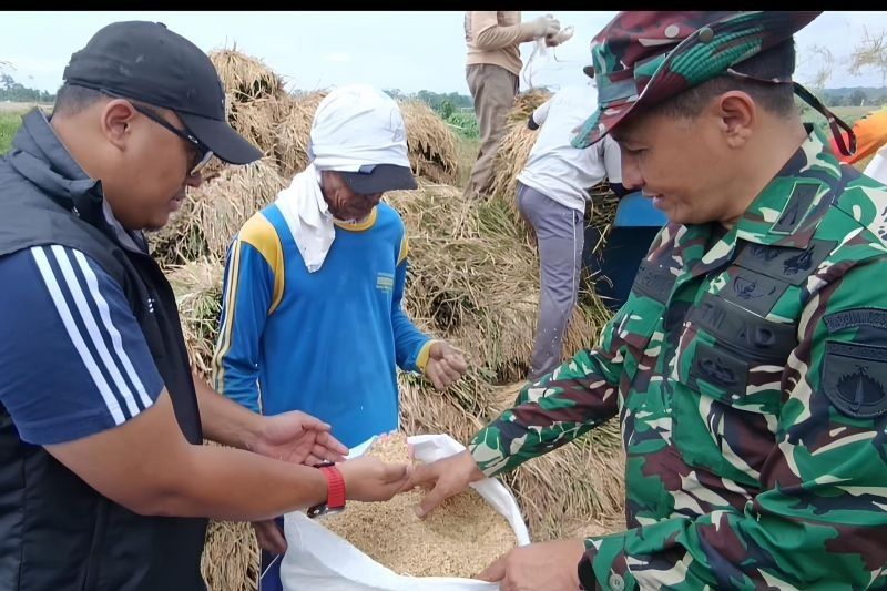 Bulog Semarang Serap Panen Perdana Petani Mijen Sesuai HPP: Harga Gabah Tembus Rp6.500/Kg