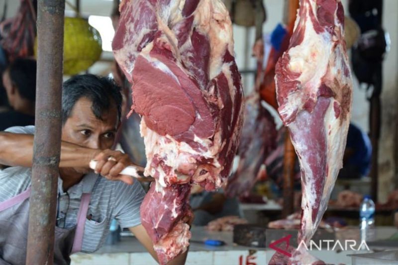 Persediaan Ternak Meugang Aceh Capai 1,78 Juta Ekor Jelang Ramadhan