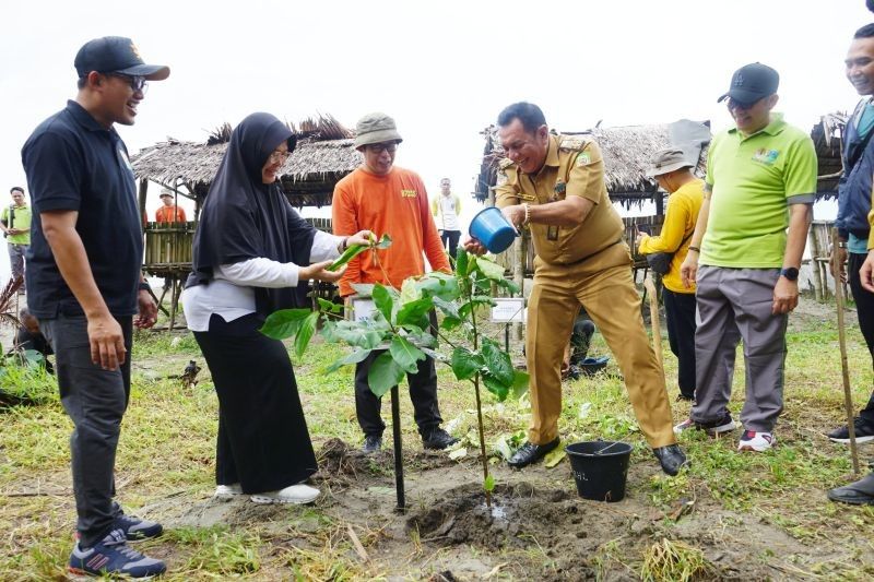 Pemprov Bengkulu Tekankan Mitigasi Perubahan Iklim: 2.500 Pohon Ditanam!