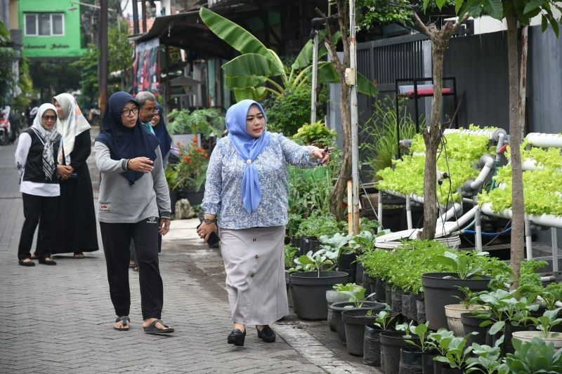 DPRD Surabaya Dorong Keberlangsungan Urban Farming di Kampung Ijo, Butuh Dukungan Pemkot