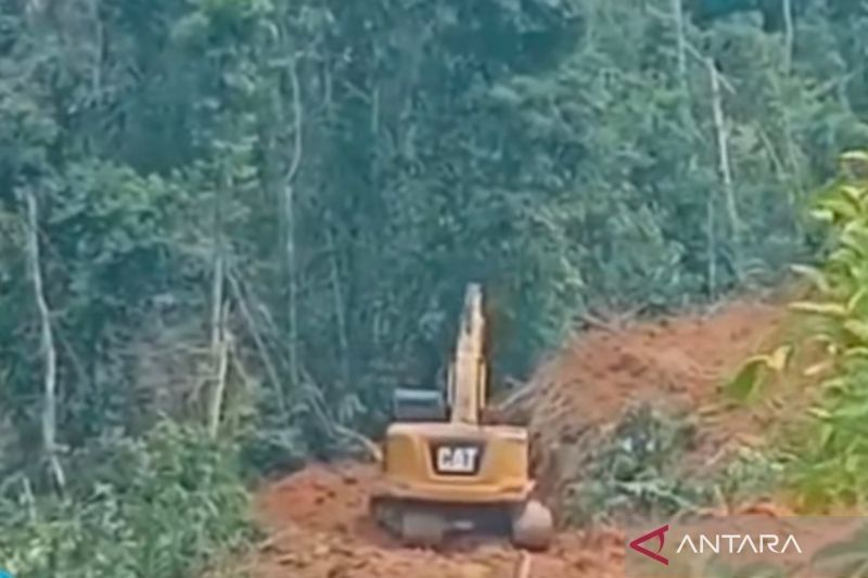 Petugas KPH Mukomuko Diminta Laporkan Kerusakan Hutan Akibat Perambahan