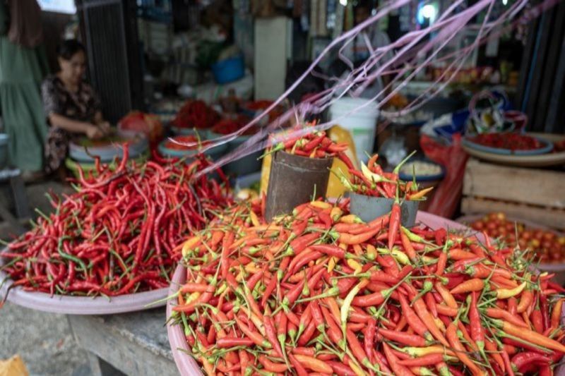 Harga Bahan Pokok di Palu Naik Jelang Ramadhan, Pemkot Lakukan Intervensi