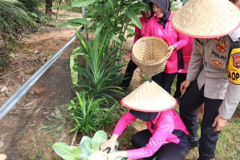 Polres OKU Luncurkan Program Pekarangan Pangan Lestari: Wujudkan Ketahanan Pangan Nasional