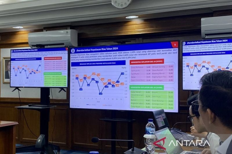 Inflasi Kepri Stabil, Namun Kenaikan Tarif Listrik Jadi Tantangan