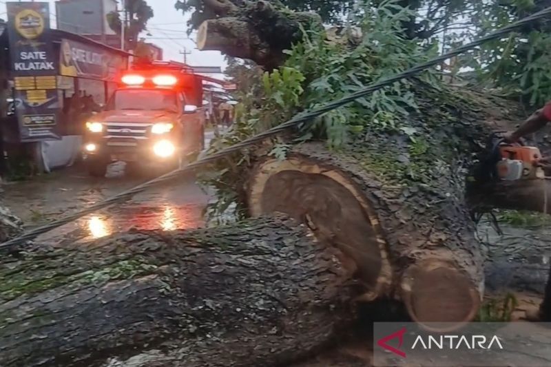 Angin Kencang Rusak Puluhan Rumah dan Pohon di Bantul