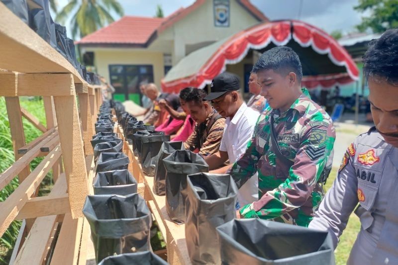 Polres Buru Selatan Luncurkan Program Pekarangan Pangan Lestari untuk Ketahanan Pangan