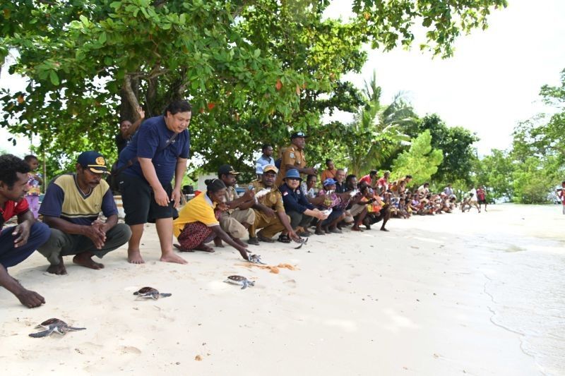 PIBATA: Garda Terdepan Pelestarian Penyu di Taman Nasional Teluk Cendrawasih