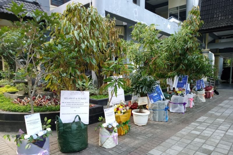 50 Bibit Tanaman Pengganti Karangan Bunga Ramaikan RTH Mataram