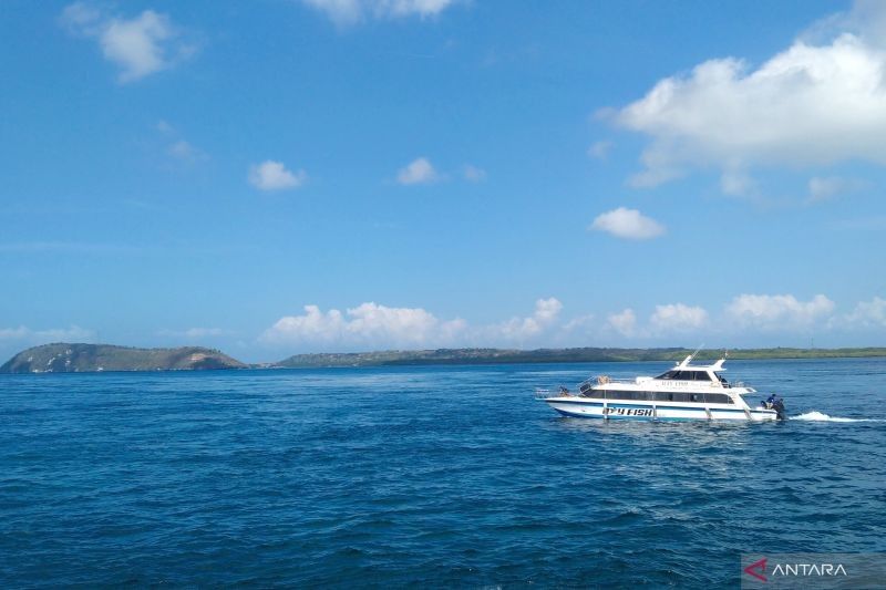 Waspada! Gelombang 2,5 Meter Ancam Selat Bali dan Lombok