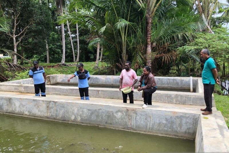 Pemkab Kaimana Dukung Budidaya Ikan Air Tawar, Dorong Perekonomian Lokal