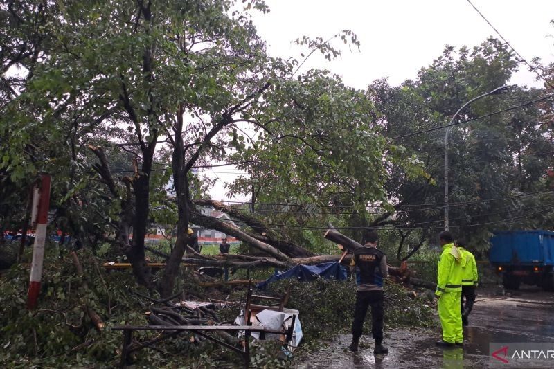 Banjir dan Pohon Tumbang Lumpuhkan Bandung Akibat Hujan Deras