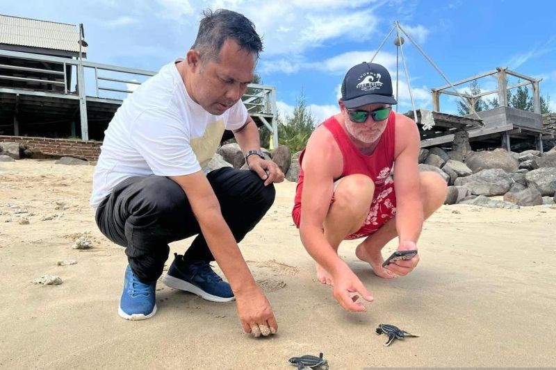 90 Tukik Belimbing Dilepasliarkan di Aceh: Upaya Lestarikan Biota Laut