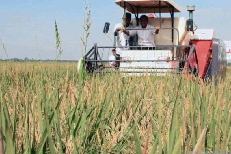 Bulog Karawang Libatkan TNI-Polri dan Pemda untuk Serap Gabah Petani, Target 75 Ribu Ton!