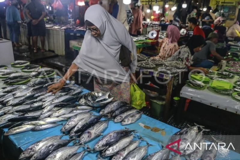 Modifikasi Hasil Laut: Kunci Kesejahteraan Nelayan Maluku?