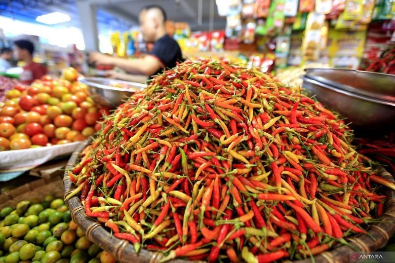 Harga Cabai Rawit Merah di Gorontalo Melonjak Jelang Ramadhan