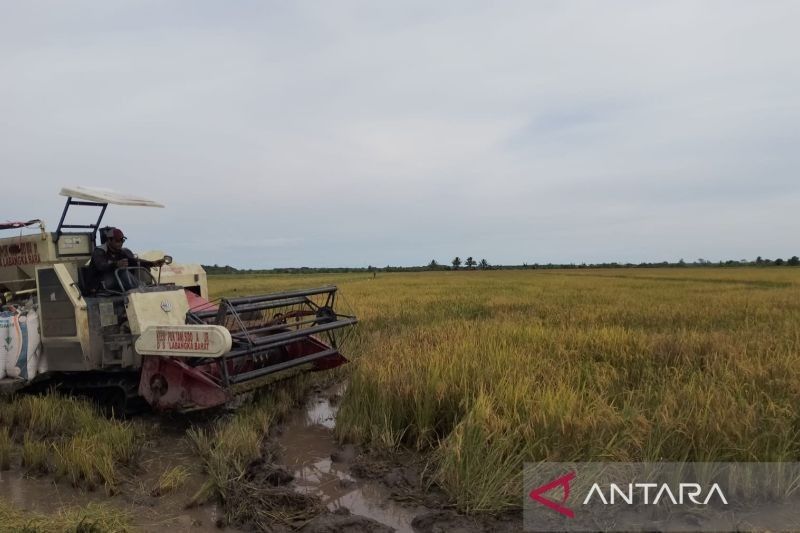 Kementan Dorong Optimalisasi Lahan Rawa di Penajam Paser Utara untuk Penuhi Kebutuhan Pangan IKN