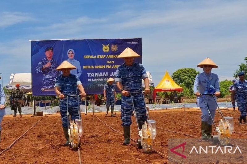 KSAU Tanam Jagung di Kupang, Dukung Ketahanan Pangan Nasional