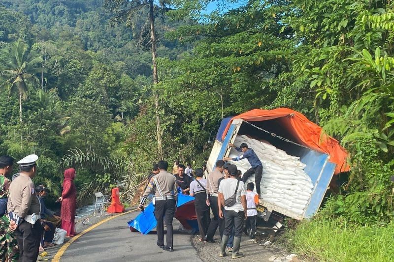 Truk Fuso Terperosok di Jalur Liwa-Krui, Sebabkan Kemacetan Panjang