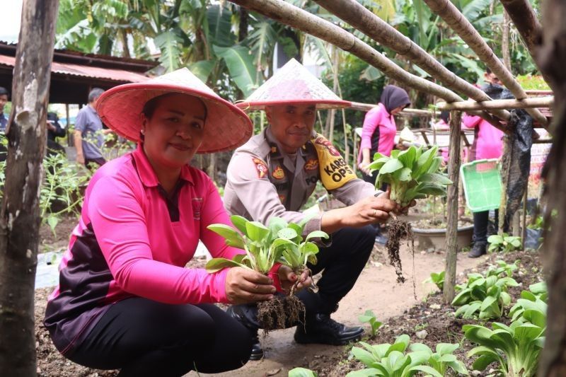 Pemkab Bengkayang Dukung Penuh Program Pekarangan Pangan Lestari