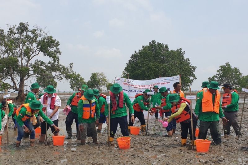 Kilang Pertamina Plaju Palembang: Eco-Innovation untuk Lingkungan yang Lebih Berkelanjutan