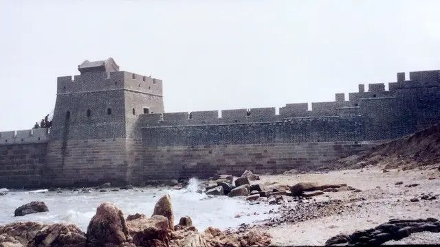 Memahami Giant Sea Wall dan Bagaimana Manfaatnya untuk Kelautan
