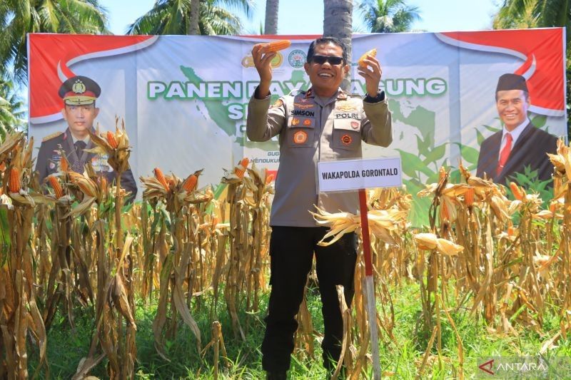 Sinergi Polri dan Petani Gorontalo Dorong Swasembada Pangan Nasional