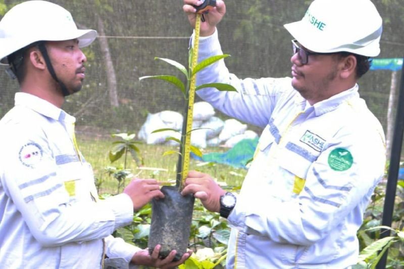 PLTA Batangtoru: Solusi Energi Bersih Sumut dan Kesejahteraan Masyarakat