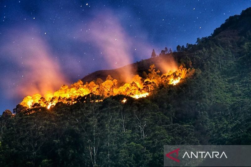 Kebakaran Hutan Besar di Jepang: Ribuan Warga Dievakuasi, Satu Jenazah Ditemukan