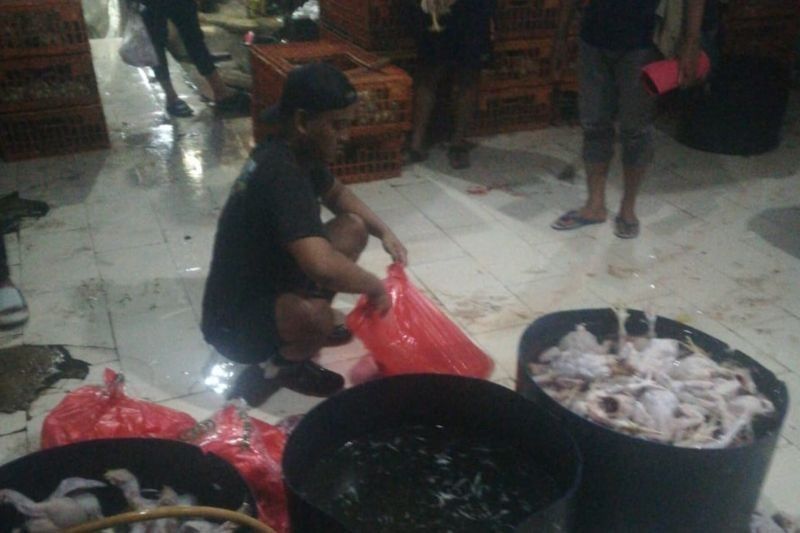 Pembuat Ayam Gelonggongan Ditangkap di Jakarta Selatan