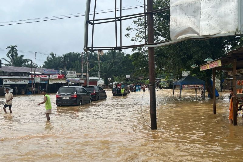 Banjir Rendam Ratusan Rumah di Tapung Hulu, Kampar: Warga Mengungsi, Bantuan Dikirim