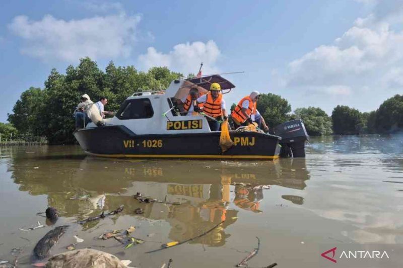 Menteri LH Pimpin Aksi Bersih Mangrove, Selamatkan Ekosistem Pesisir Muaragembong