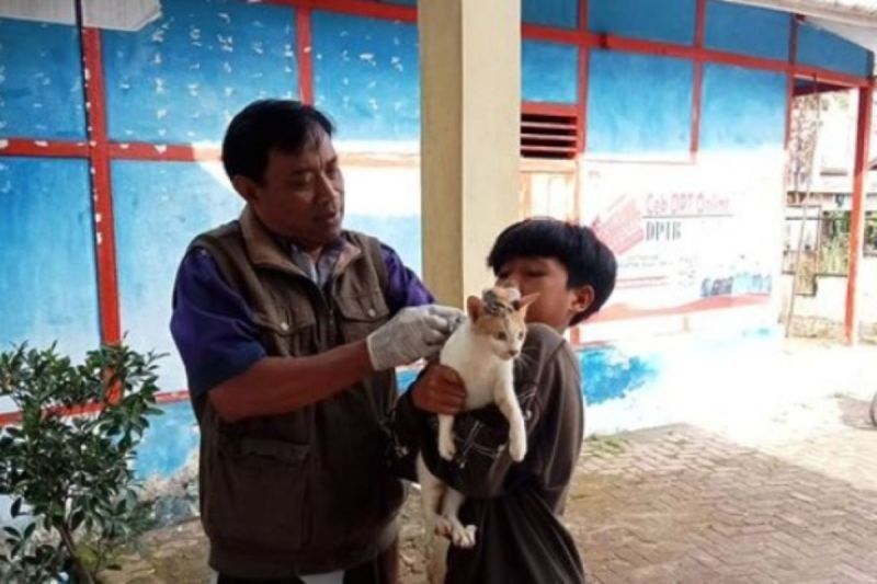 Rejang Lebong Siapkan 5.000 Dosis Vaksin Anti-Rabies untuk Hewan