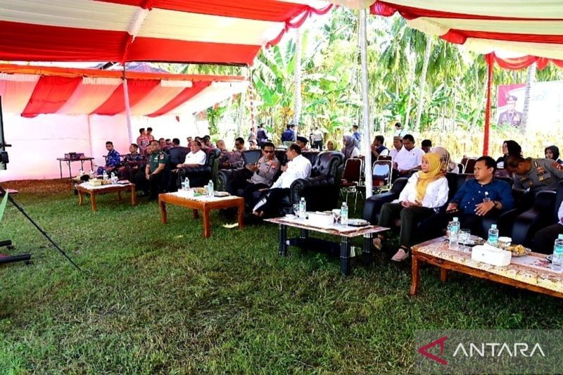 Panen Raya Jagung Gorontalo: 32,6 Ton Jagung dipanen, Ketahanan Pangan Terdongkrak