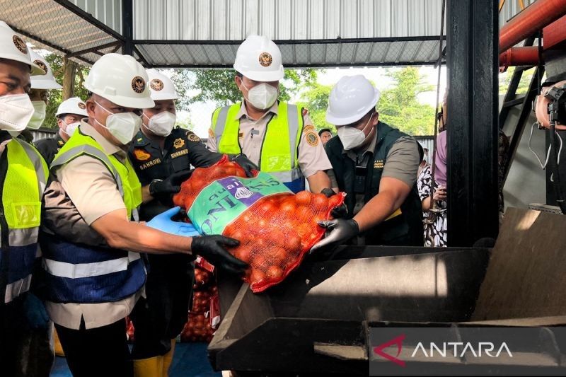 Barantin Musnahkan 86,4 Ton Bawang Bombay Impor dari Belanda: Terkontaminasi Nematoda