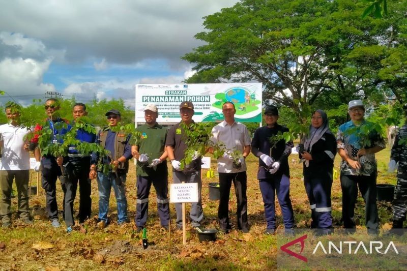 Penanaman 750 Pohon Angsana di Bangka: Langkah Menuju Swasembada Energi?