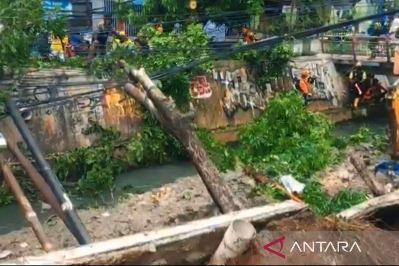Waspada! BNPB Imbau Warga Jakarta Hindari Lokasi Rawan Longsor Saat Hujan Deras