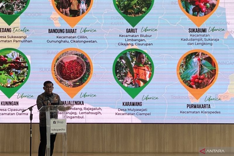 Agrowisata Kebun Kopi Jabar: Cicipi Kopi Lokal dan Jelajahi Proses Pembuatannya