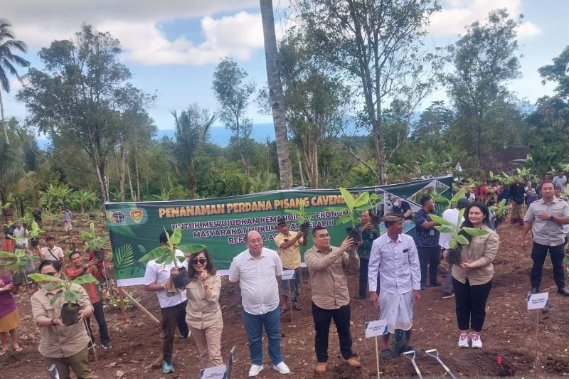 Kementerian ATR/BPN: Tanah Adat Jembrana, Percontohan Pertanian Modern