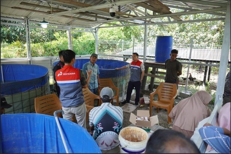 Pertamina Dukung Swasembada Pangan: Teknologi Bioflok Bantu Nelayan Dumai