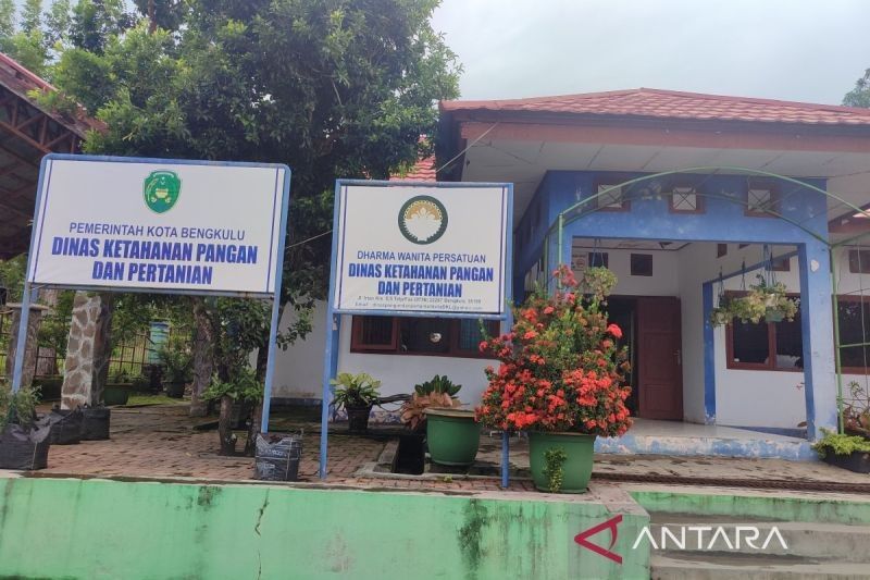 Pemkot Bengkulu Awasi Ketat Daging di Pasar Selama Ramadhan