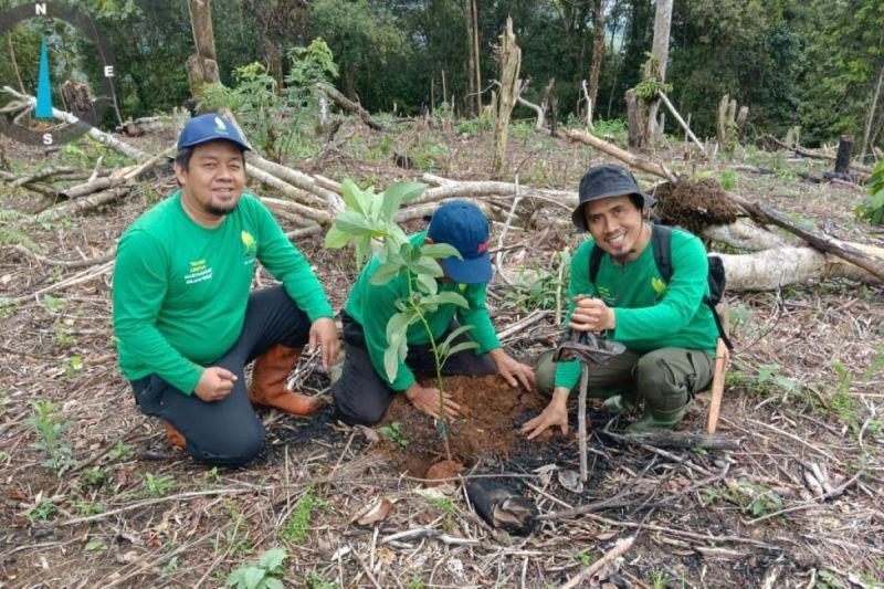 4.000 Pohon Ditanam di Lahan Kritis Bukit Daun Kepahiang, Bengkulu