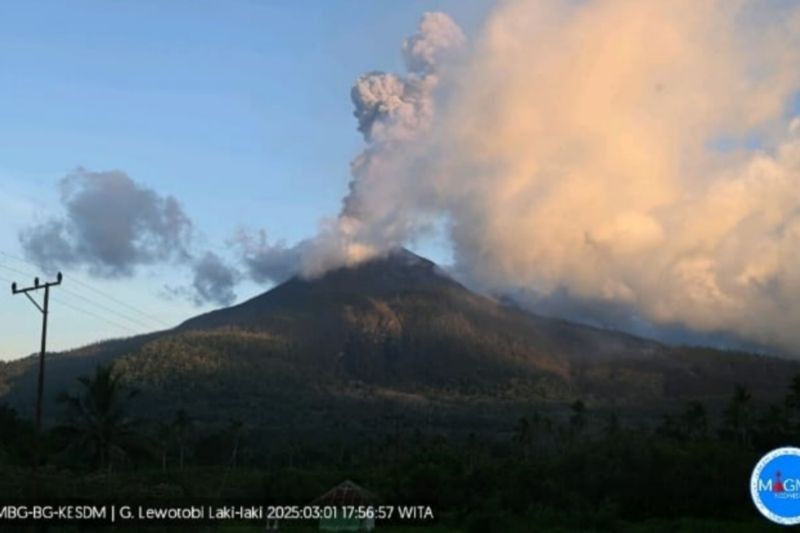 Gunung Lewotobi Laki-laki Erupsi 11 Kali, Warga Diminta Waspada!