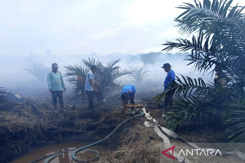 BPBD Aceh Barat Imbau Warga Waspada Karhutla, 22 Titik Rawan Teridentifikasi