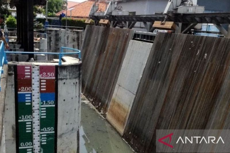 Siaga Banjir! Pintu Air Pasar Ikan Jakarta Berstatus Siaga 2