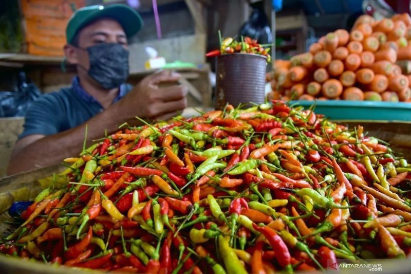 Harga Cabai Rawit Tembus Rp91.100/kg, Bawang Merah Capai Rp39.550/kg!