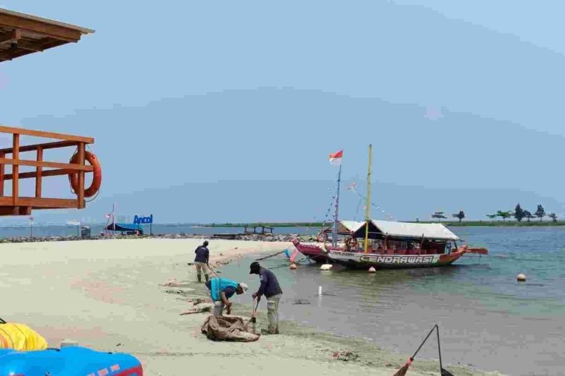 Ancol Kerahkan 30 Petugas Bersihkan Sampah Laut, Imbau Pengunjung Jaga Kebersihan