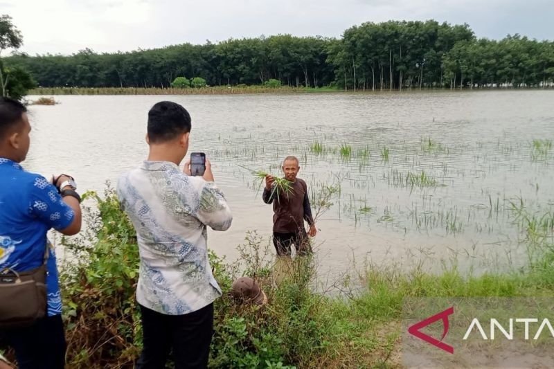 Banjir di Ogan Komering Ilir: Petugas BNPB Masih Siaga, 10 Desa Terendam