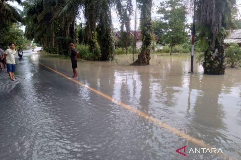 Banjir di Tulang Bawang, Lampung: Jalintim Terendam, Ratusan Warga Terdampak