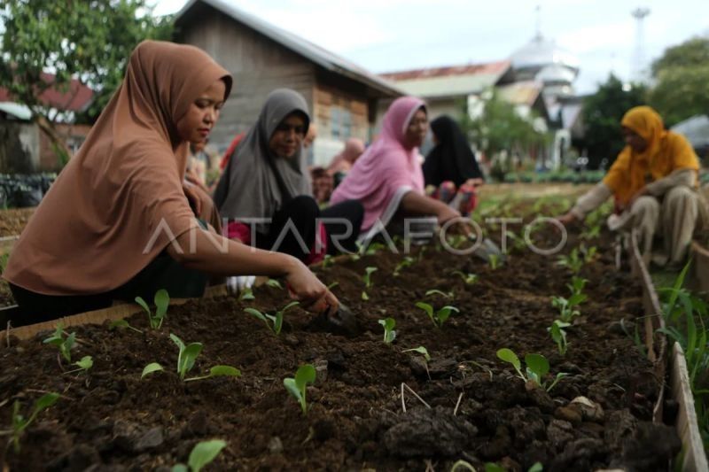 DPRK Banda Aceh Ajak KWT Manfaatkan Pekarangan untuk Ketahanan Pangan